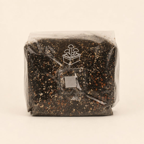 Starter Grow-Kit