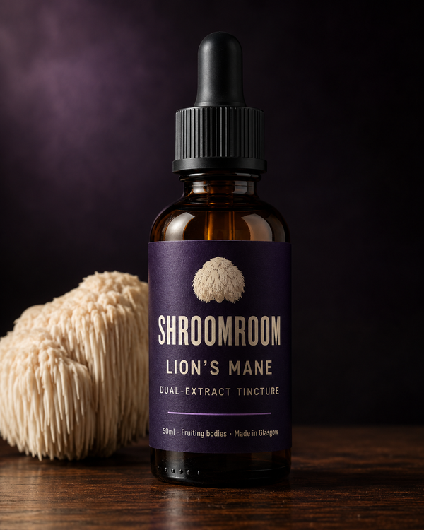 Lions Mane Tincture