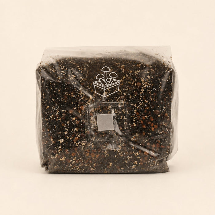 Starter Grow-Kit